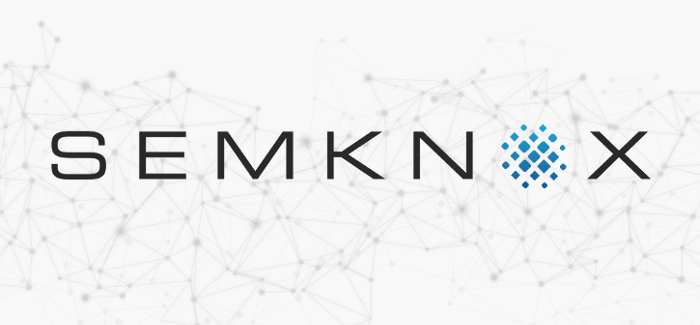 SEMKNOX Logo vor Netzwerk